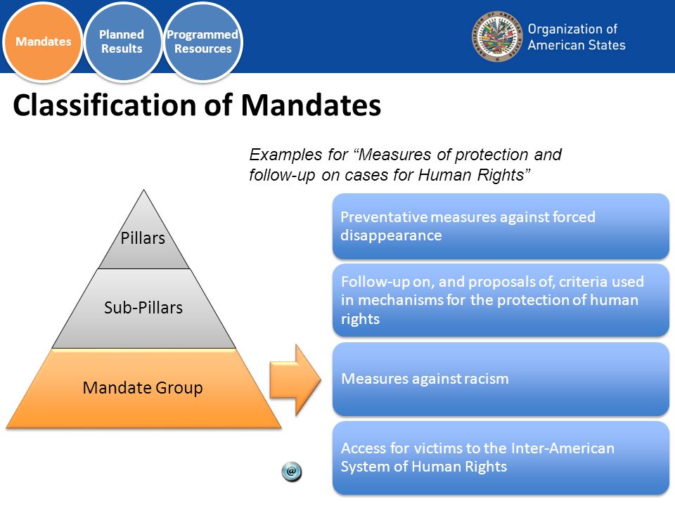 Classification of Mandates Preventative measures against forced disappearance Follow-up on, and proposals of, criteria used in mechanisms for the protection of human rights Measures against racism Access for victims to the Inter-American System of Human Rights Examples for Measures of protection and follow-up on cases for Human Rights Pillars Sub-Pillars Mandate Group Mandates Planned Results Programmed Resources