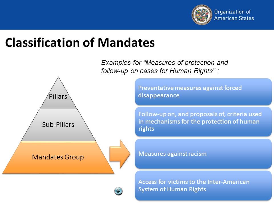 Classification of Mandates Preventative measures against forced disappearance Follow-up on, and proposals of, criteria used in mechanisms for the protection of human rights Measures against racism Access for victims to the Inter-American System of Human Rights Examples for Measures of protection and follow-up on cases for Human Rights : Pillars Sub-Pillars Mandates Group