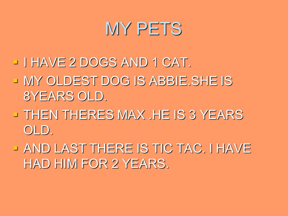 MY PETS I HAVE 2 DOGS AND 1 CAT. I HAVE 2 DOGS AND 1 CAT.