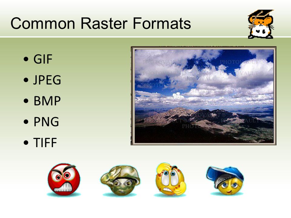 Common Raster Formats GIF JPEG BMP PNG TIFF