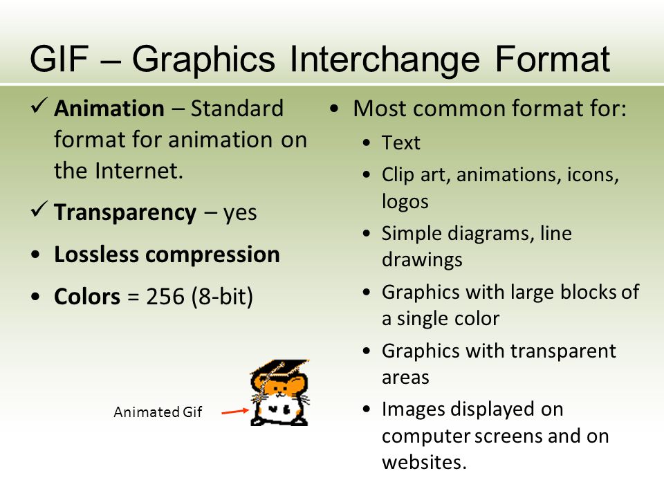 GIF – Graphics Interchange Format Animation – Standard format for animation on the Internet.