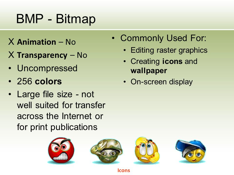 BMP - Bitmap X Animation – No X Transparency – No Uncompressed 256 colors Large file size - not well suited for transfer across the Internet or for print publications Commonly Used For: Editing raster graphics Creating icons and wallpaper On-screen display Icons