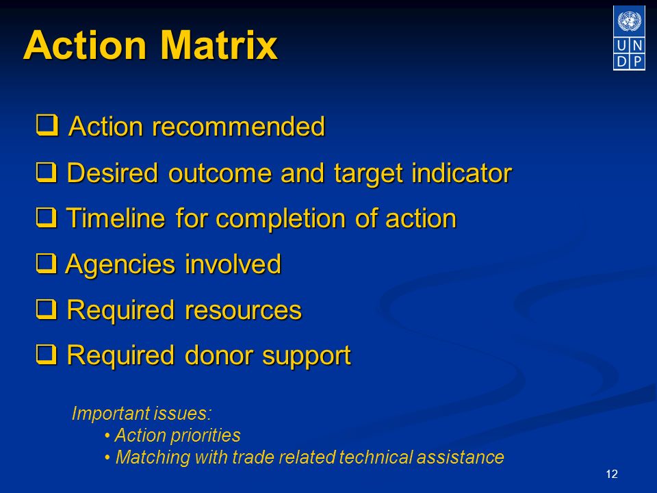 12 Action Matrix Action recommended Action recommended Desired outcome and target indicator Desired outcome and target indicator Timeline for completion of action Timeline for completion of action Agencies involved Agencies involved Required resources Required resources Required donor support Required donor support Important issues: Action priorities Matching with trade related technical assistance