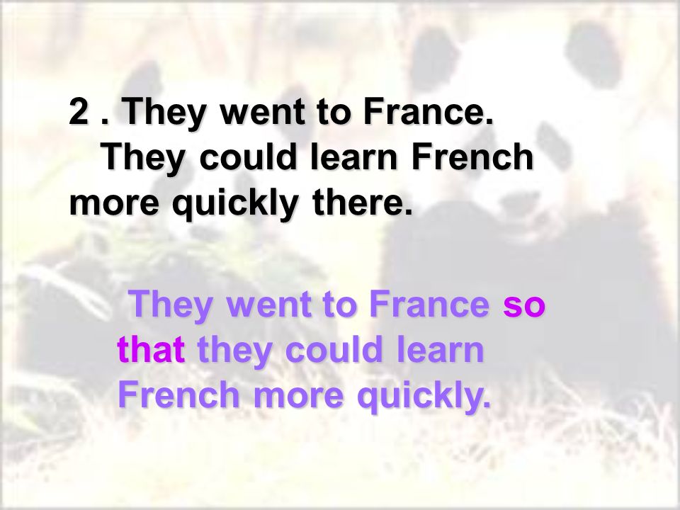 2. They went to France. They could learn French more quickly there.