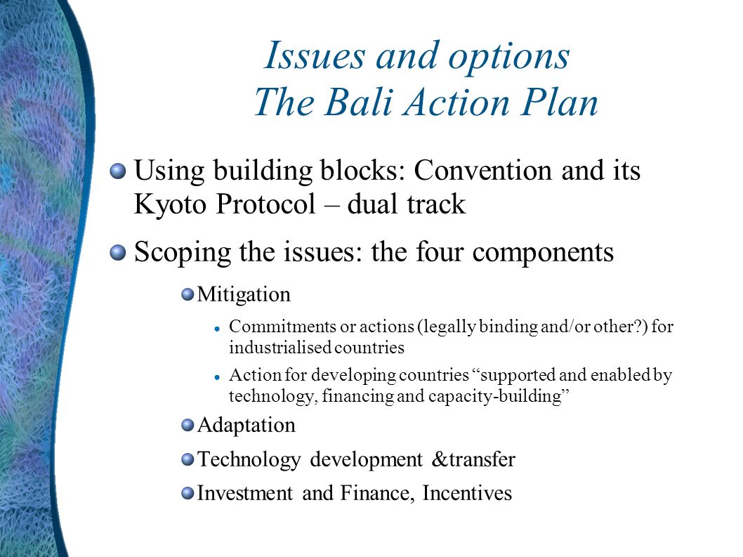 Issues and options The Bali Action Plan Using building blocks: Convention and its Kyoto Protocol – dual track Scoping the issues: the four components Mitigation Commitments or actions (legally binding and/or other ) for industrialised countries Action for developing countries supported and enabled by technology, financing and capacity-building Adaptation Technology development &transfer Investment and Finance, Incentives