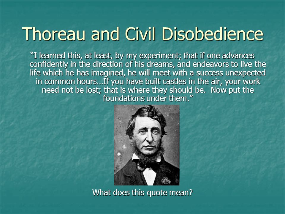 Essay On Disobedience