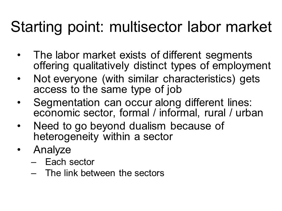 Starting point: multisector labor market The labor market exists of different segments offering qualitatively distinct types of employment Not everyone (with similar characteristics) gets access to the same type of job Segmentation can occur along different lines: economic sector, formal / informal, rural / urban Need to go beyond dualism because of heterogeneity within a sector Analyze –Each sector –The link between the sectors