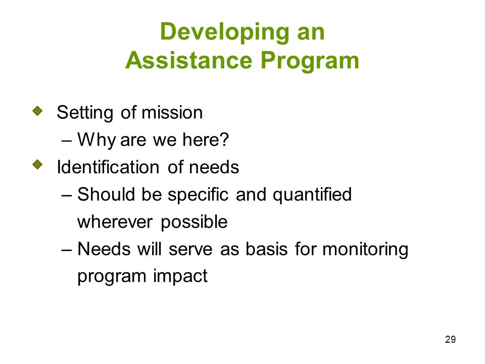 29 Developing an Assistance Program Setting of mission – Why are we here.