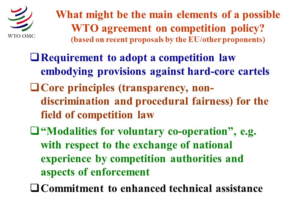 What might be the main elements of a possible WTO agreement on competition policy.