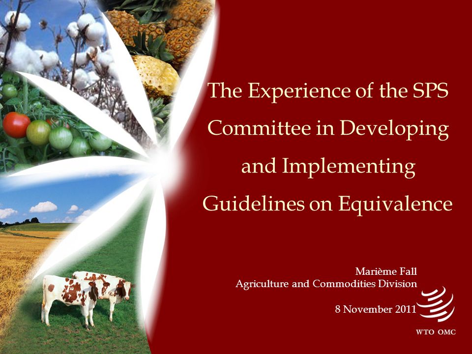 The Experience of the SPS Committee in Developing and Implementing Guidelines on Equivalence Marième Fall Agriculture and Commodities Division 8 November 2011