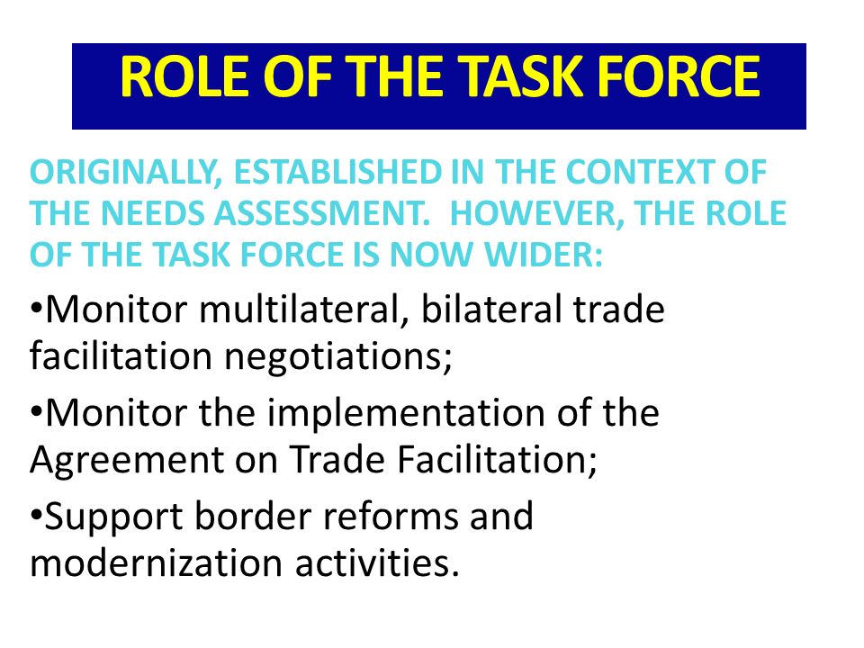ROLE OF THE TASK FORCE ORIGINALLY, ESTABLISHED IN THE CONTEXT OF THE NEEDS ASSESSMENT.