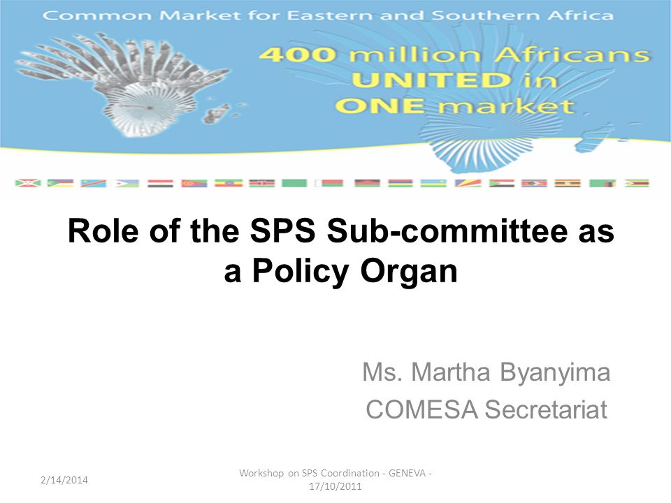 Role of the SPS Sub-committee as a Policy Organ Ms.