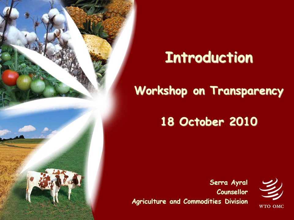 Introduction Workshop on Transparency 18 October 2010 Serra Ayral Counsellor Agriculture and Commodities Division