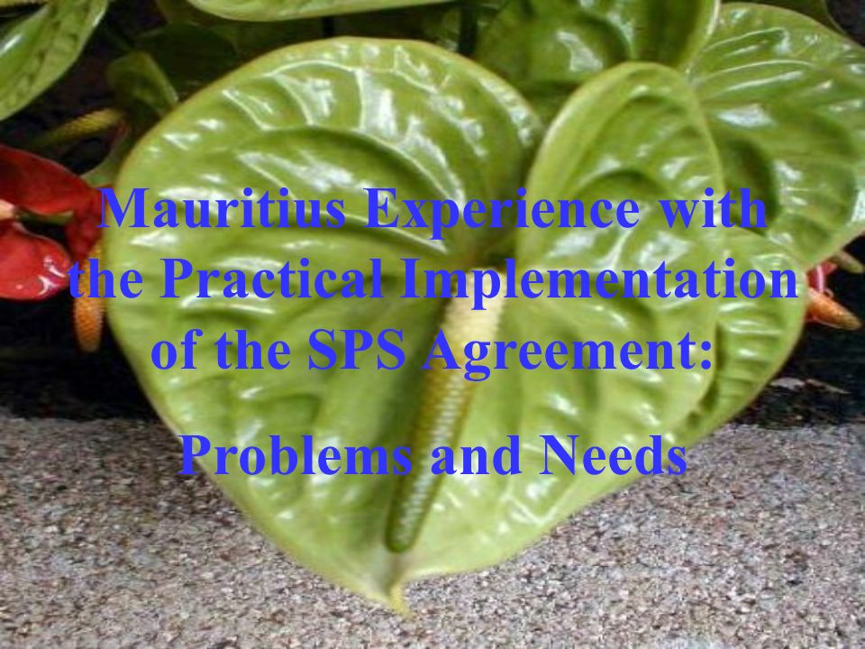 Mauritius Experience with the Practical Implementation of the SPS Agreement: Problems and Needs