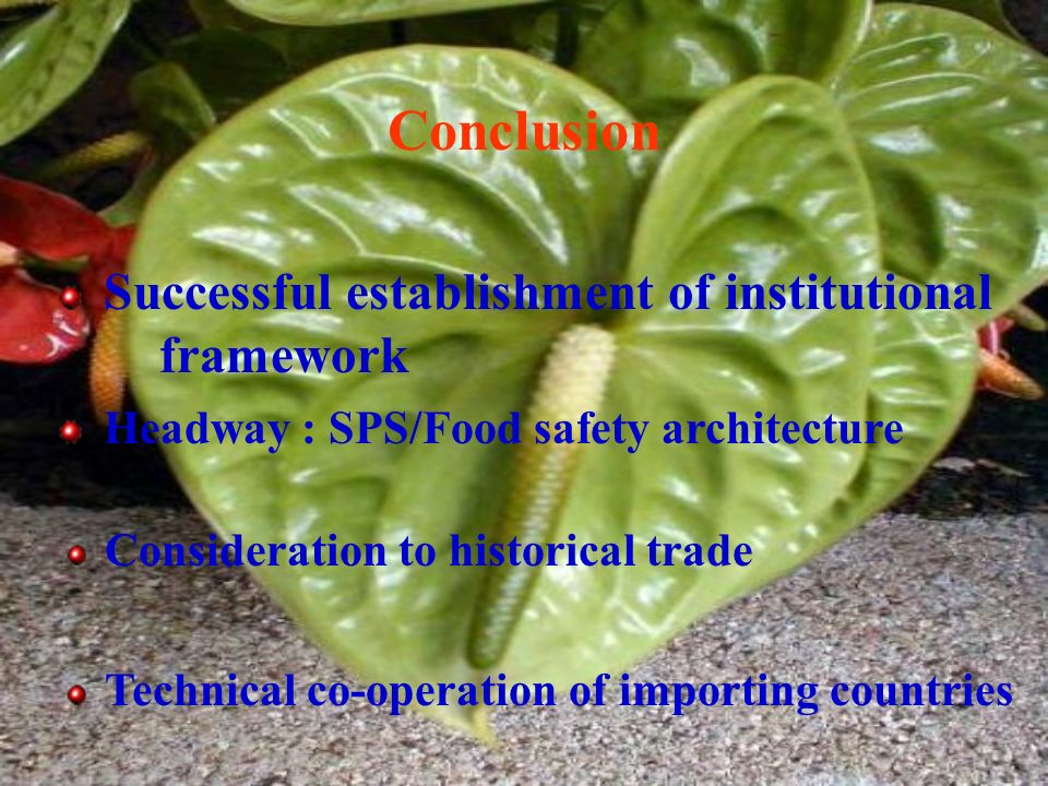 Conclusion Successful establishment of institutional framework Headway : SPS/Food safety architecture Technical co-operation of importing countries Consideration to historical trade