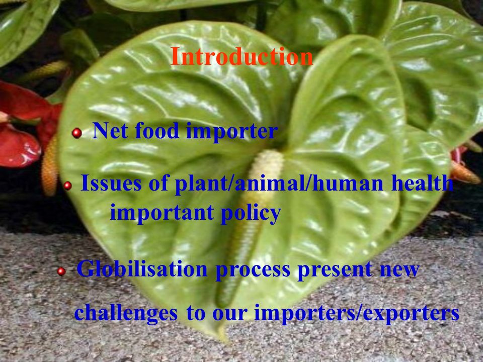 Introduction Net food importer Issues of plant/animal/human health important policy Globilisation process present new challenges to our importers/exporters