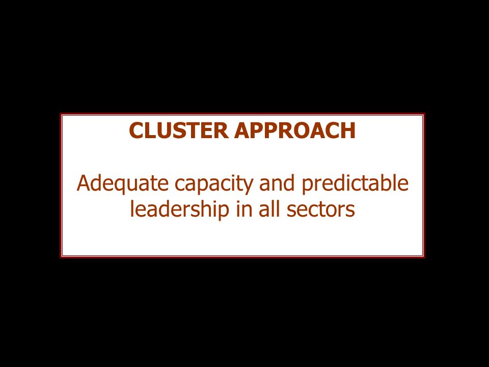 CLUSTER APPROACH Adequate capacity and predictable leadership in all sectors