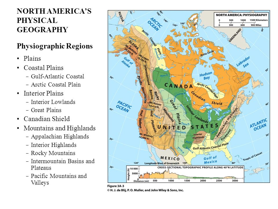 geography regions of canada essay Essay canada - of the united states of america the canadian identity has always been difficult to define essay, term paper, research paper: geography. geography regions of canada essay Essay canada - of the united states of america the canadian identity has always been difficult to define essay, term paper, research paper: geography.