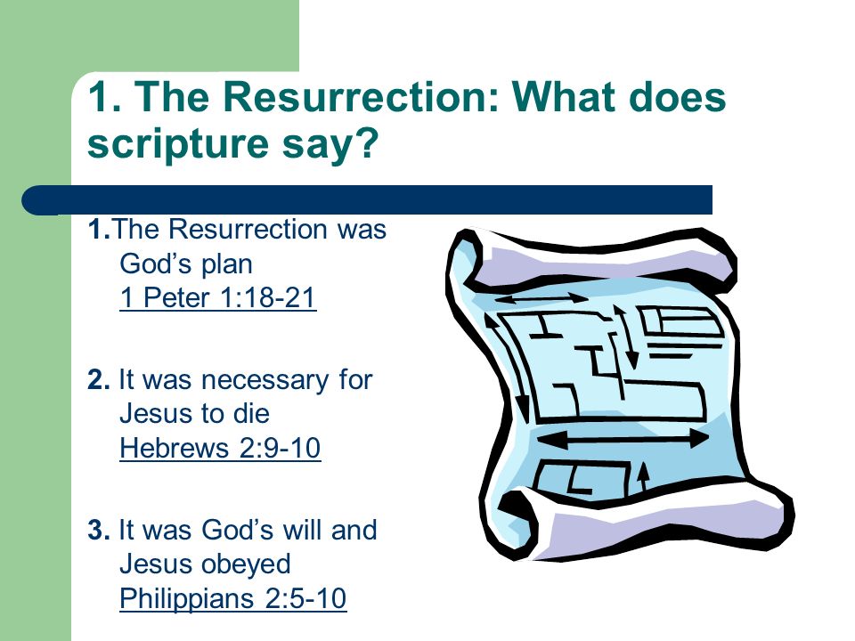 1. The Resurrection: What does scripture say. 1.The Resurrection was Gods plan 1 Peter 1: