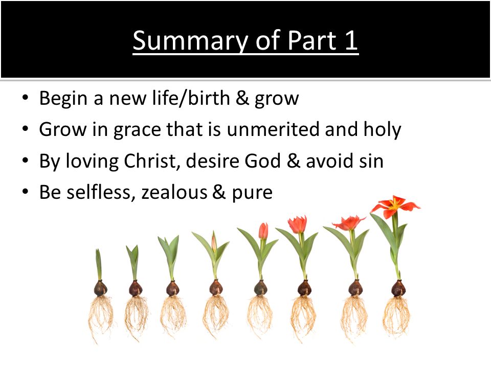 Summary of Part 1 Begin a new life/birth & grow Grow in grace that is unmerited and holy By loving Christ, desire God & avoid sin Be selfless, zealous & pure