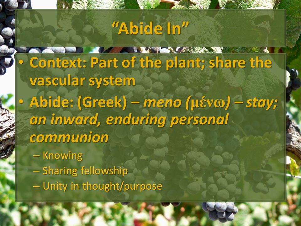 Abide In Context: Part of the plant; share the vascular system Context: Part of the plant; share the vascular system Abide: (Greek) – meno (μένω) – stay; an inward, enduring personal communion Abide: (Greek) – meno (μένω) – stay; an inward, enduring personal communion – Knowing – Sharing fellowship – Unity in thought/purpose