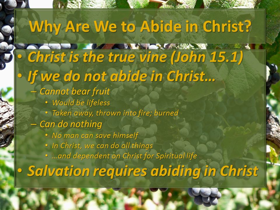 Why Are We to Abide in Christ.