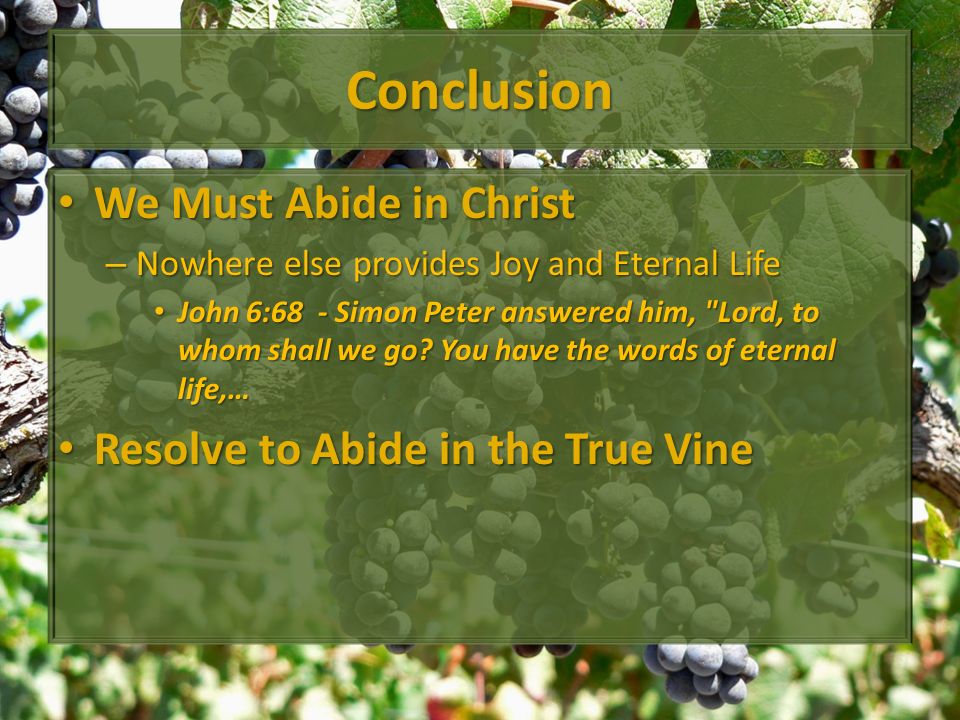 Conclusion We Must Abide in Christ We Must Abide in Christ – Nowhere else provides Joy and Eternal Life John 6:68 - Simon Peter answered him, Lord, to whom shall we go.