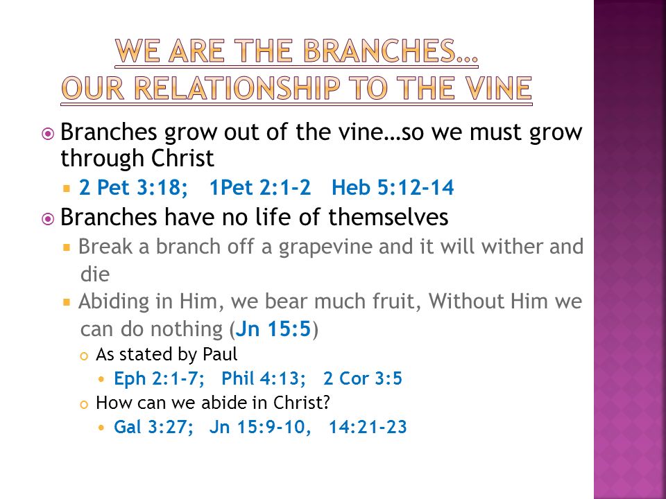 Branches grow out of the vine…so we must grow through Christ 2 Pet 3:18; 1Pet 2:1-2 Heb 5:12-14 Branches have no life of themselves Break a branch off a grapevine and it will wither and die Abiding in Him, we bear much fruit, Without Him we can do nothing (Jn 15:5) As stated by Paul Eph 2:1-7; Phil 4:13; 2 Cor 3:5 How can we abide in Christ.