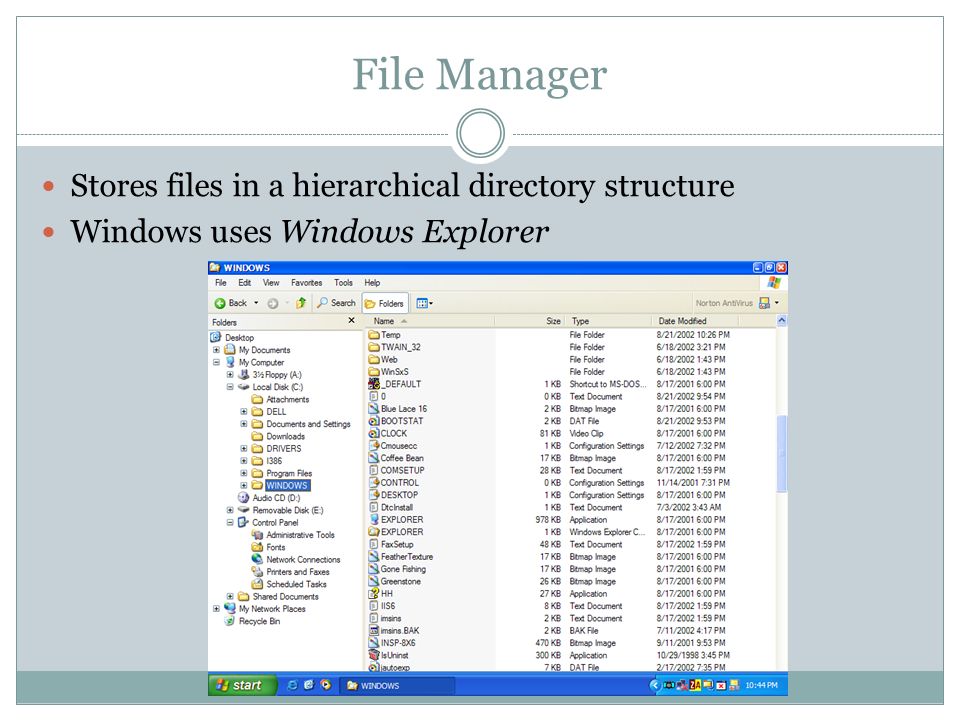 File Manager Stores files in a hierarchical directory structure Windows uses Windows Explorer