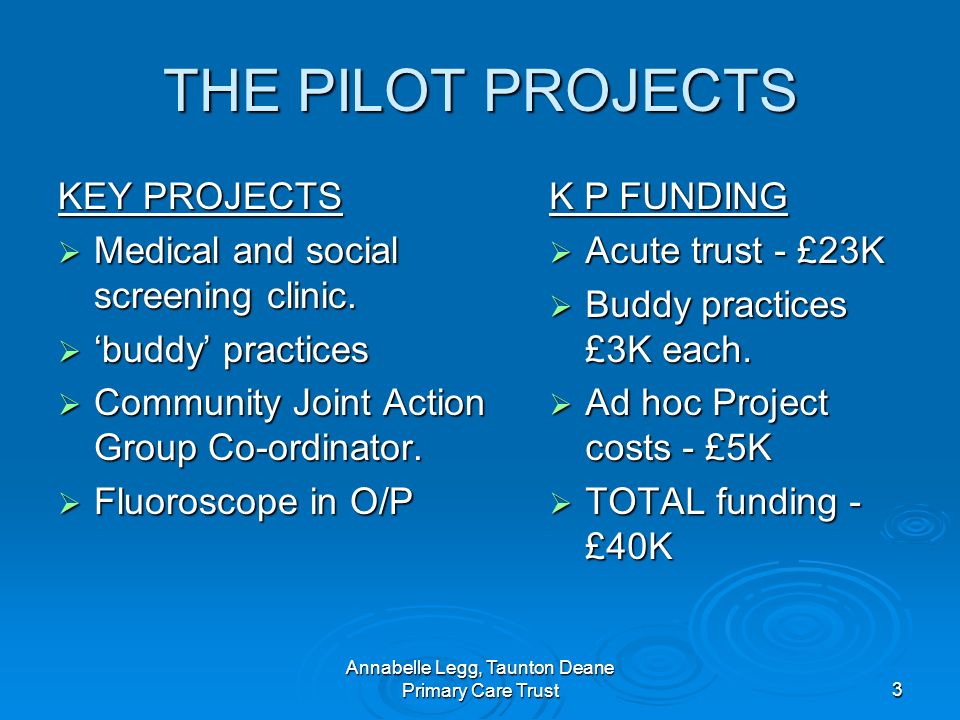Annabelle Legg, Taunton Deane Primary Care Trust3 THE PILOT PROJECTS KEY PROJECTS Medical and social screening clinic.