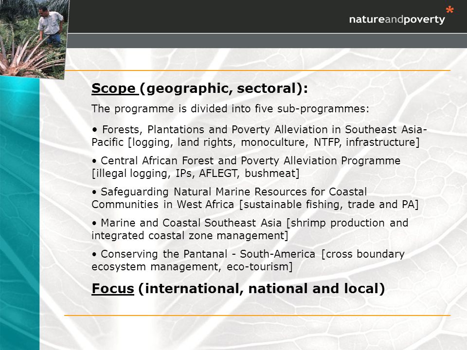 Scope (geographic, sectoral): The programme is divided into five sub-programmes: Forests, Plantations and Poverty Alleviation in Southeast Asia- Pacific [logging, land rights, monoculture, NTFP, infrastructure] Central African Forest and Poverty Alleviation Programme [illegal logging, IPs, AFLEGT, bushmeat] Safeguarding Natural Marine Resources for Coastal Communities in West Africa [sustainable fishing, trade and PA] Marine and Coastal Southeast Asia [shrimp production and integrated coastal zone management] Conserving the Pantanal - South-America [cross boundary ecosystem management, eco-tourism] Focus (international, national and local)