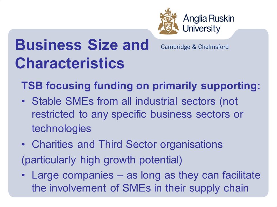 Business Size and Characteristics TSB focusing funding on primarily supporting: Stable SMEs from all industrial sectors (not restricted to any specific business sectors or technologies Charities and Third Sector organisations (particularly high growth potential) Large companies – as long as they can facilitate the involvement of SMEs in their supply chain