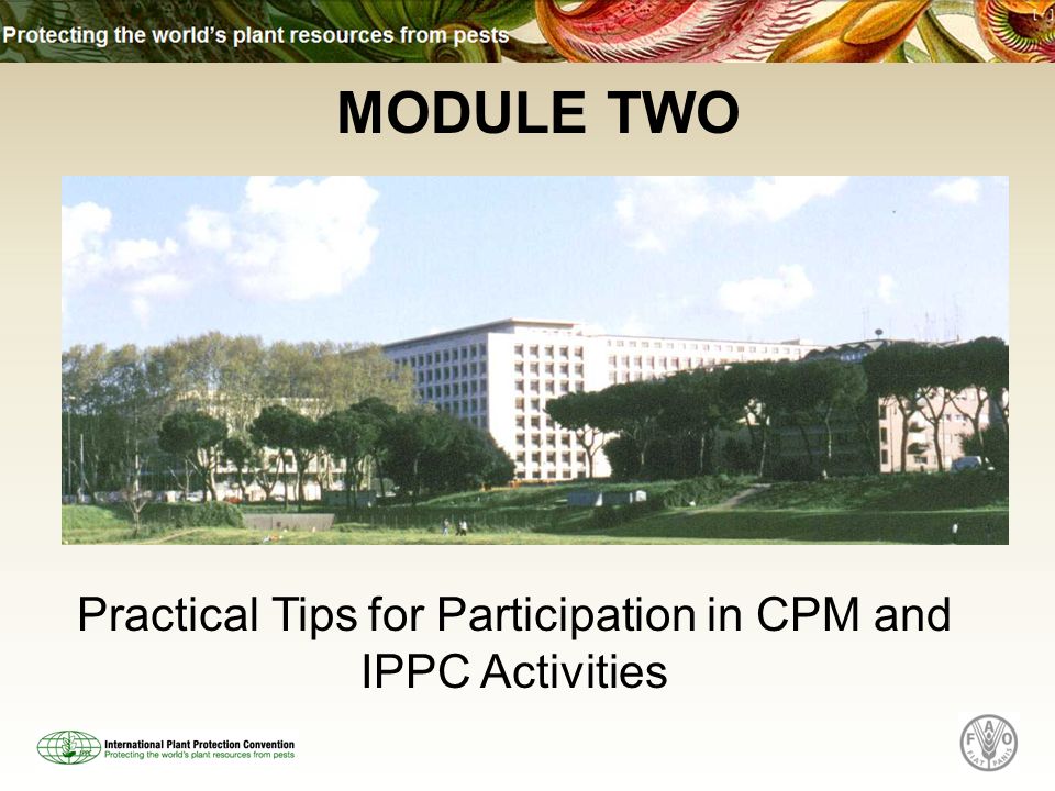 MODULE TWO Practical Tips for Participation in CPM and IPPC Activities