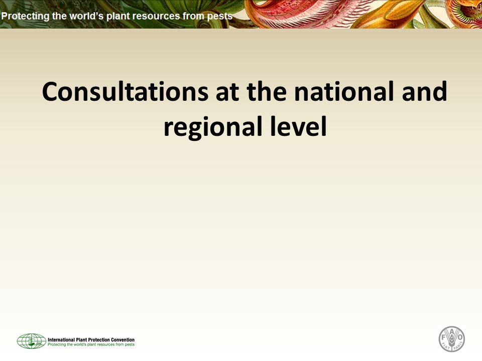 Consultations at the national and regional level