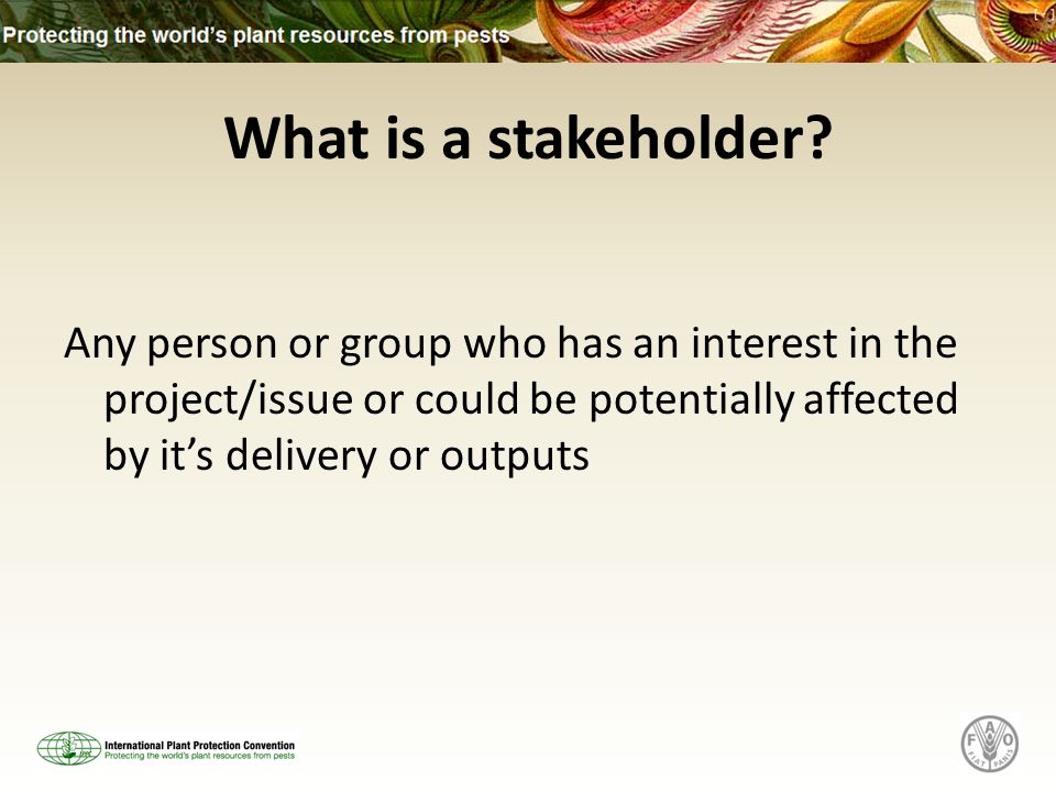 What is a stakeholder.