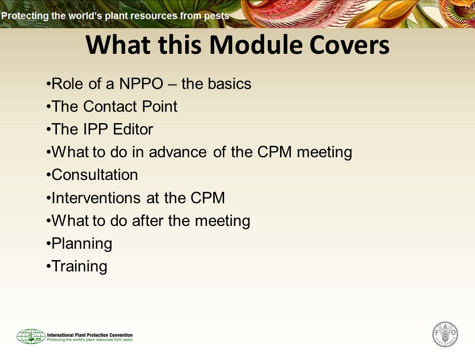 What this Module Covers Role of a NPPO – the basics The Contact Point The IPP Editor What to do in advance of the CPM meeting Consultation Interventions at the CPM What to do after the meeting Planning Training