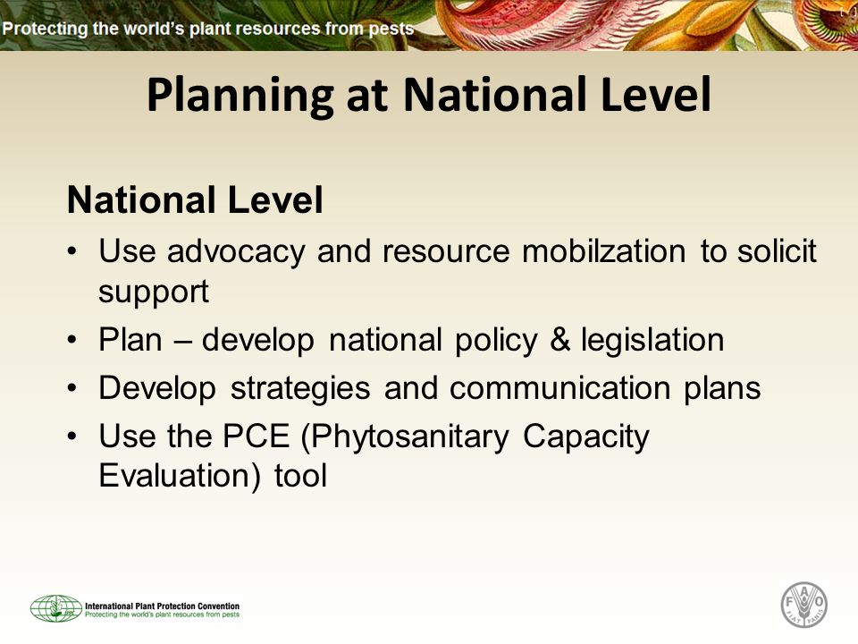 Planning at National Level National Level Use advocacy and resource mobilzation to solicit support Plan – develop national policy & legislation Develop strategies and communication plans Use the PCE (Phytosanitary Capacity Evaluation) tool