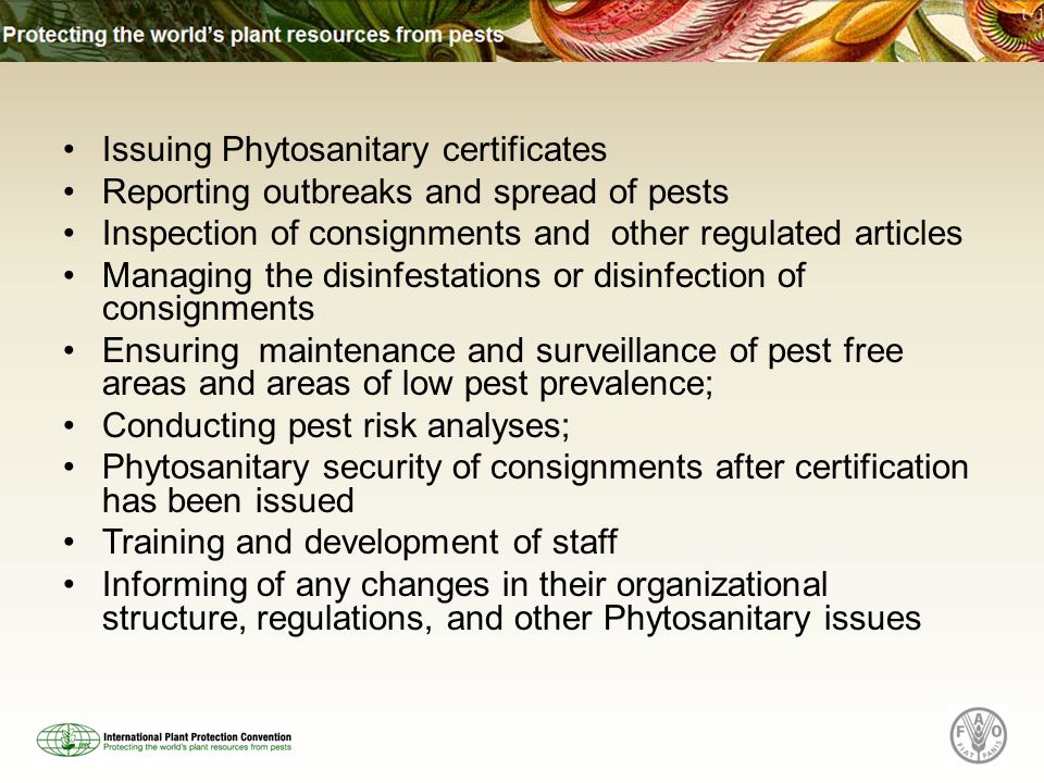 Issuing Phytosanitary certificates Reporting outbreaks and spread of pests Inspection of consignments and other regulated articles Managing the disinfestations or disinfection of consignments Ensuring maintenance and surveillance of pest free areas and areas of low pest prevalence; Conducting pest risk analyses; Phytosanitary security of consignments after certification has been issued Training and development of staff Informing of any changes in their organizational structure, regulations, and other Phytosanitary issues