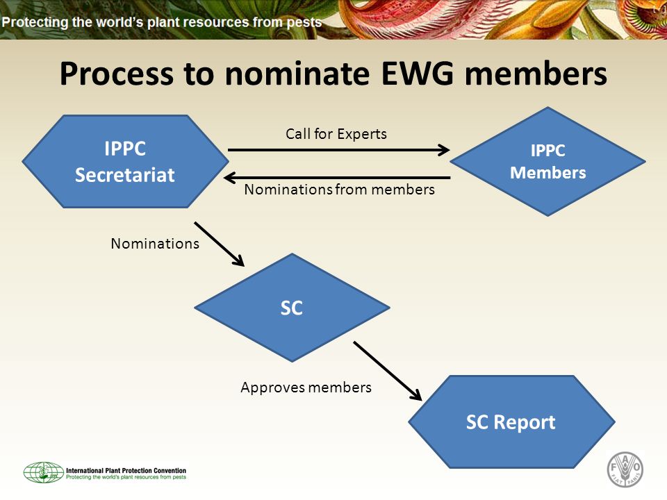 Process to nominate EWG members IPPC Secretariat IPPC Members SC SC Report Call for Experts Nominations from members Nominations Approves members