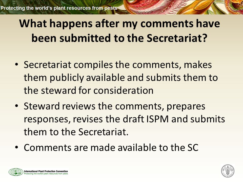 What happens after my comments have been submitted to the Secretariat.