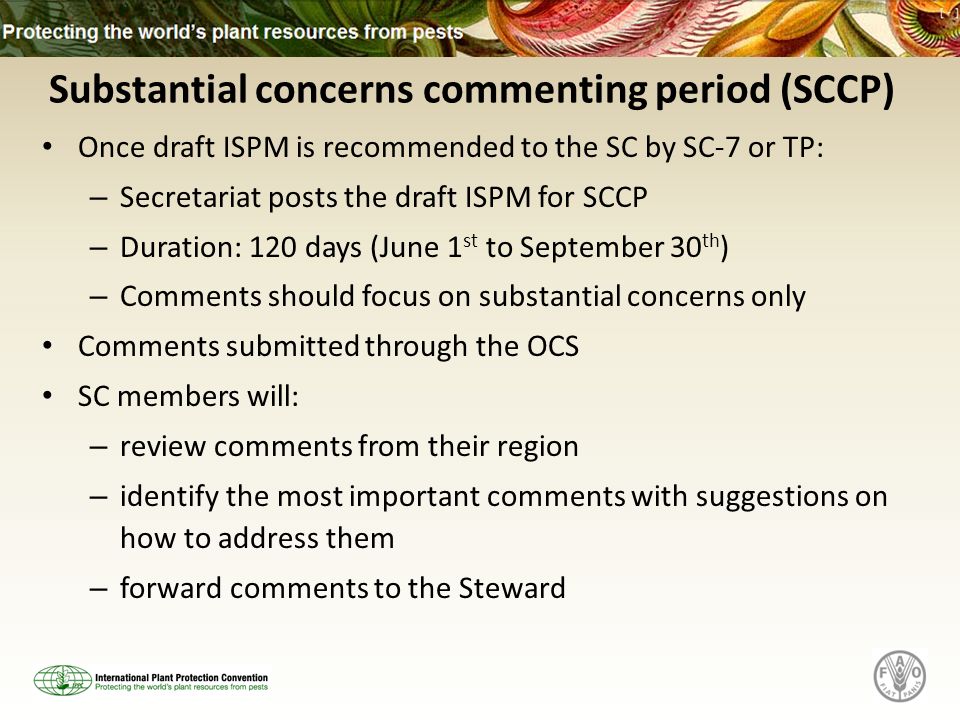 Substantial concerns commenting period (SCCP) Once draft ISPM is recommended to the SC by SC-7 or TP: – Secretariat posts the draft ISPM for SCCP – Duration: 120 days (June 1 st to September 30 th ) – Comments should focus on substantial concerns only Comments submitted through the OCS SC members will: – review comments from their region – identify the most important comments with suggestions on how to address them – forward comments to the Steward