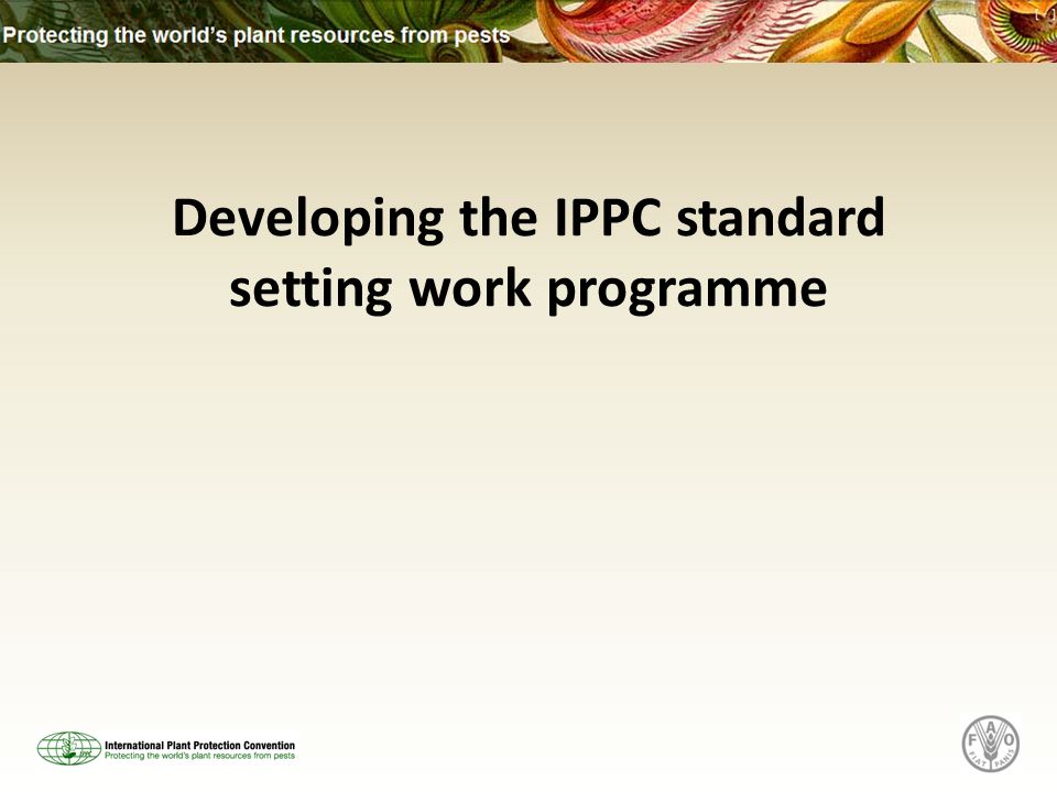 Developing the IPPC standard setting work programme