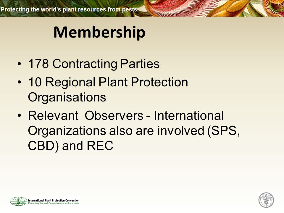 178 Contracting Parties 10 Regional Plant Protection Organisations Relevant Observers - International Organizations also are involved (SPS, CBD) and REC Membership