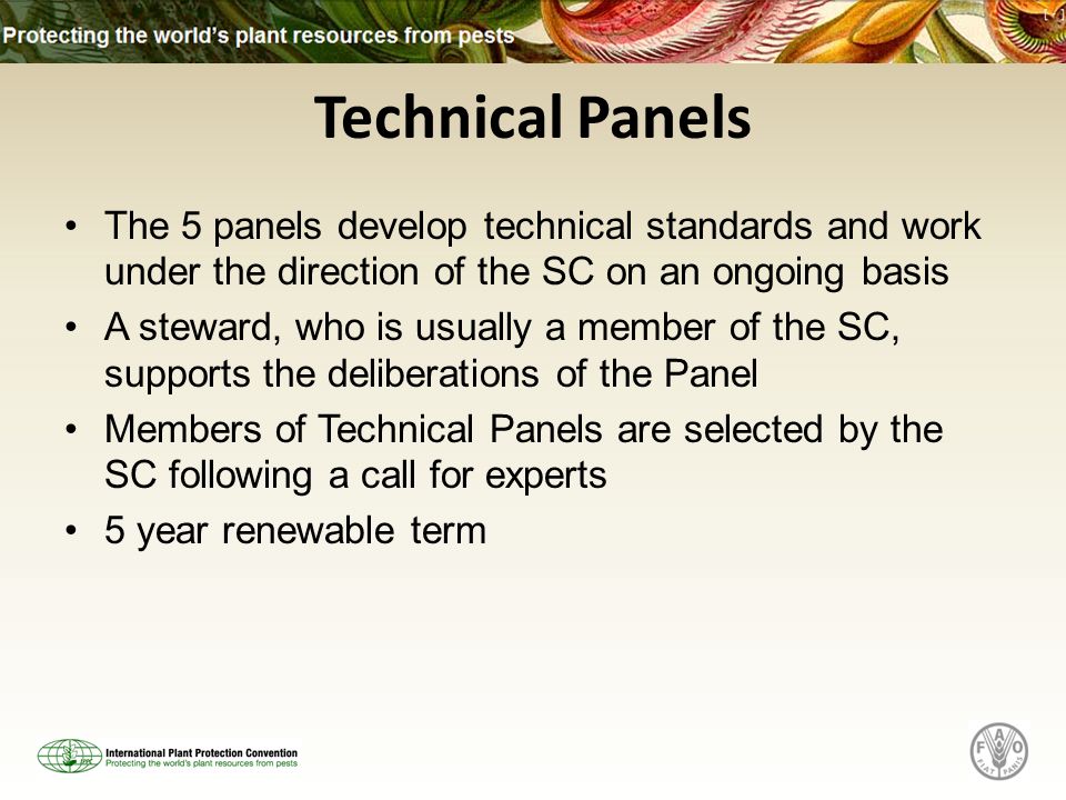 Technical Panels The 5 panels develop technical standards and work under the direction of the SC on an ongoing basis A steward, who is usually a member of the SC, supports the deliberations of the Panel Members of Technical Panels are selected by the SC following a call for experts 5 year renewable term