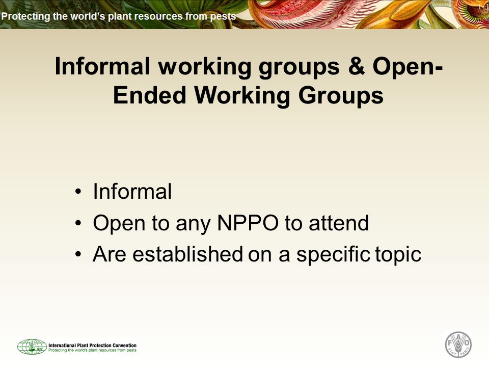 Informal Open to any NPPO to attend Are established on a specific topic Informal working groups & Open- Ended Working Groups