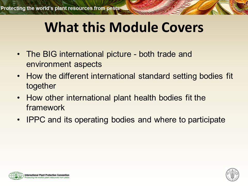 What this Module Covers The BIG international picture - both trade and environment aspects How the different international standard setting bodies fit together How other international plant health bodies fit the framework IPPC and its operating bodies and where to participate