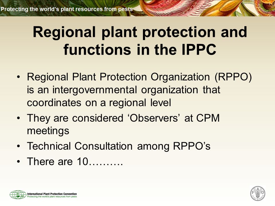 Regional plant protection and functions in the IPPC Regional Plant Protection Organization (RPPO) is an intergovernmental organization that coordinates on a regional level They are considered Observers at CPM meetings Technical Consultation among RPPOs There are 10……….