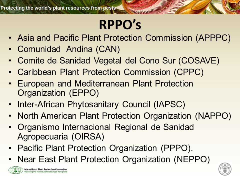 Asia and Pacific Plant Protection Commission (APPPC) Comunidad Andina (CAN) Comite de Sanidad Vegetal del Cono Sur (COSAVE) Caribbean Plant Protection Commission (CPPC) European and Mediterranean Plant Protection Organization (EPPO) Inter-African Phytosanitary Council (IAPSC) North American Plant Protection Organization (NAPPO) Organismo Internacional Regional de Sanidad Agropecuaria (OIRSA) Pacific Plant Protection Organization (PPPO).