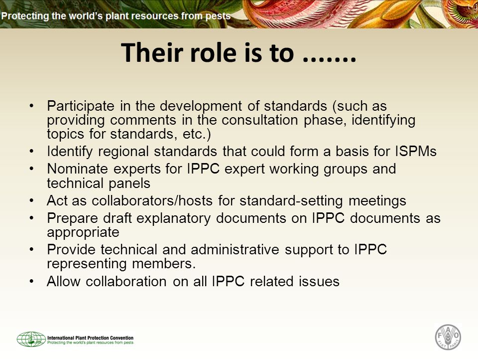 Participate in the development of standards (such as providing comments in the consultation phase, identifying topics for standards, etc.) Identify regional standards that could form a basis for ISPMs Nominate experts for IPPC expert working groups and technical panels Act as collaborators/hosts for standard-setting meetings Prepare draft explanatory documents on IPPC documents as appropriate Provide technical and administrative support to IPPC representing members.