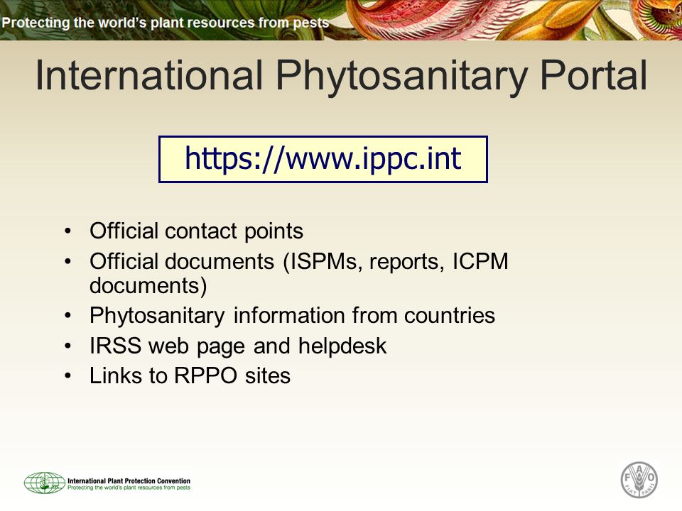 Official contact points Official documents (ISPMs, reports, ICPM documents) Phytosanitary information from countries IRSS web page and helpdesk Links to RPPO sites   International Phytosanitary Portal
